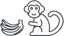 monkey_image
